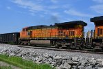 BNSF 5224 Roster shot